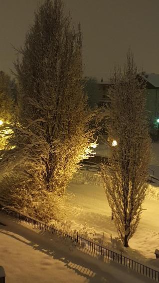Casa Rigoni * Asiago